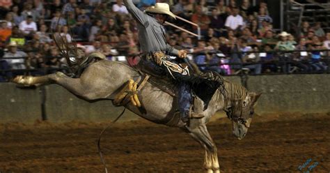 This Knoxville rodeo list also features bull riding in the area. It's updated daily and contains all the Knoxville roping events for 2024. Sign up for the newsletter to receive weekly updates for rodeos in your state. Submitting and editing show listing is easy. Find all 2024 Knoxville rodeos in Tennessee. This is a great show for cowboys …
